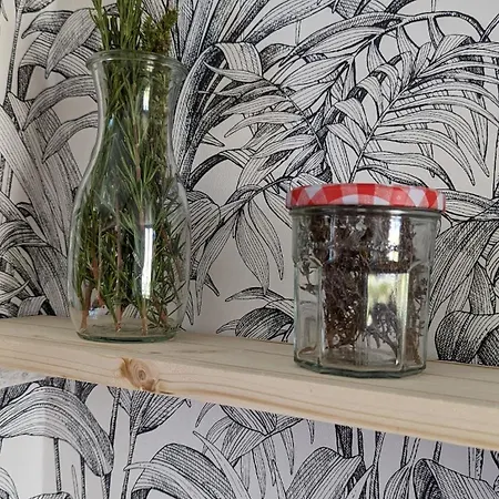 Maison De L'ocean * Les Sables-dʼOlonne